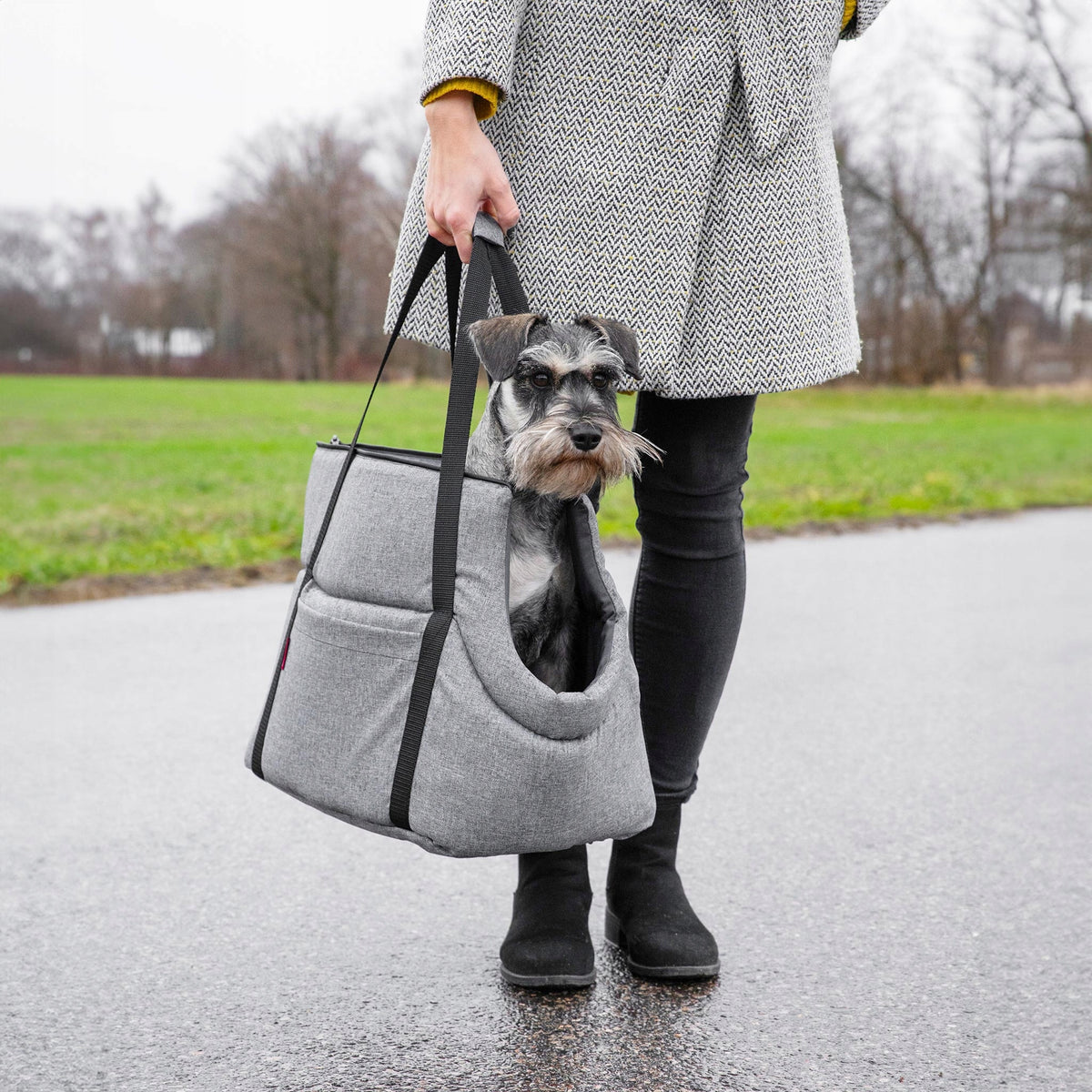 TRANSPORTER Travel bag for Dog Cat Carrier S EAN (GTIN) 5903268365421