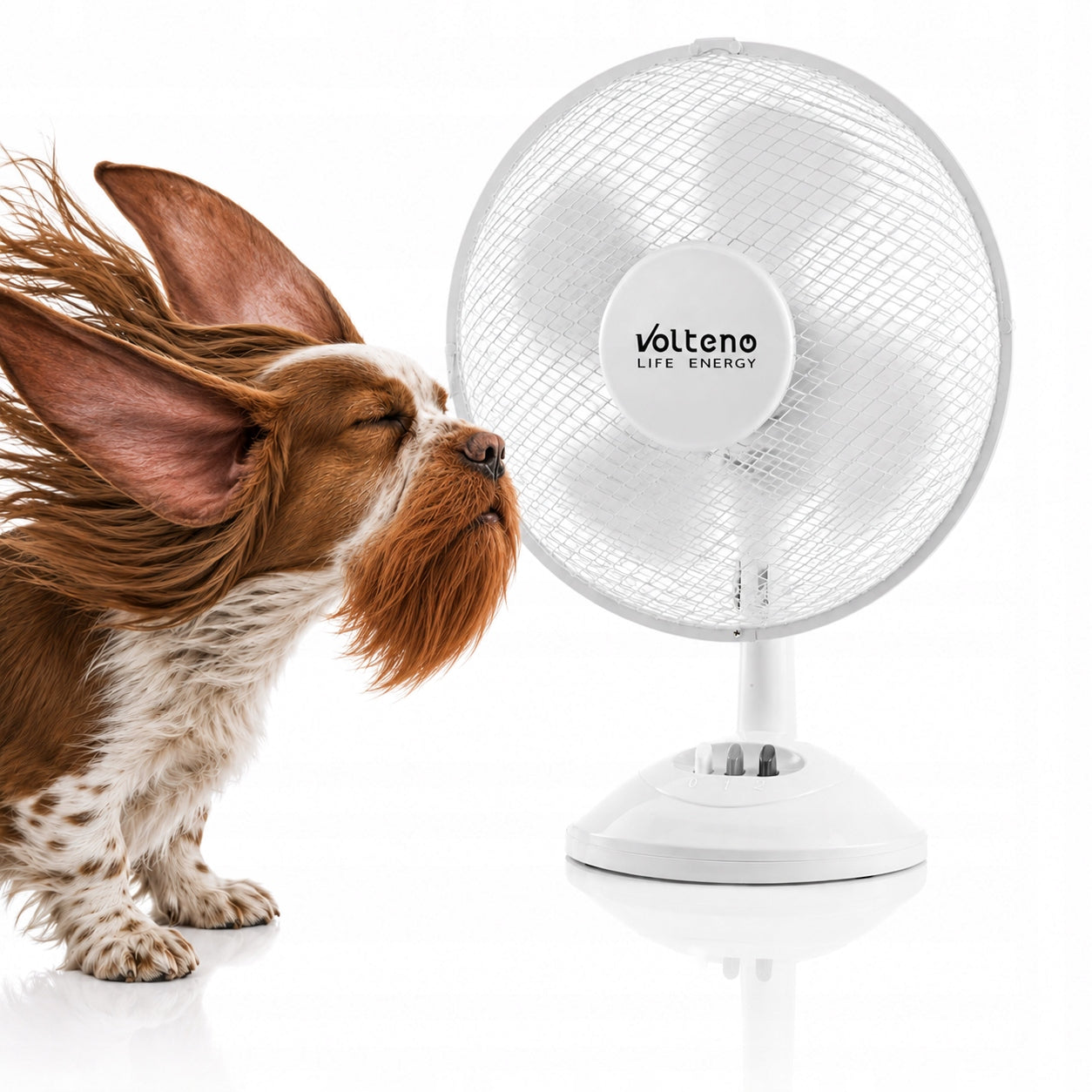 Table fan Volteno DESK FAN white PROPELLER DIAMETER 23cm Manufacturer code WENTYLATOR BIURKOWY WIATRAK STOJĄCY