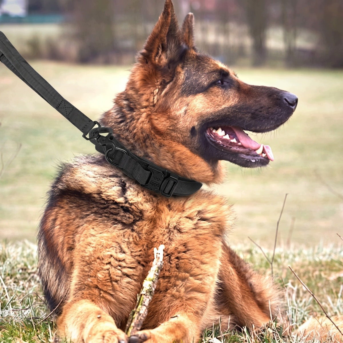 Tactical Dog Collar and Leash Set - Adjustable, Heavy Duty, Large Manufacturer code 4048535812008
