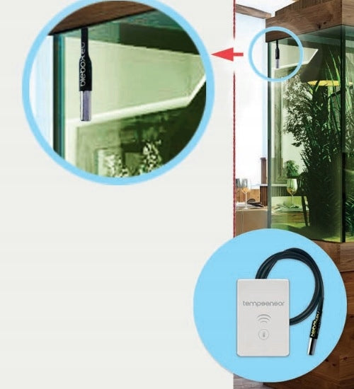 Temperature sensor BleBox tempWireless Wi-Fi sensor for home to garage Packaging status original