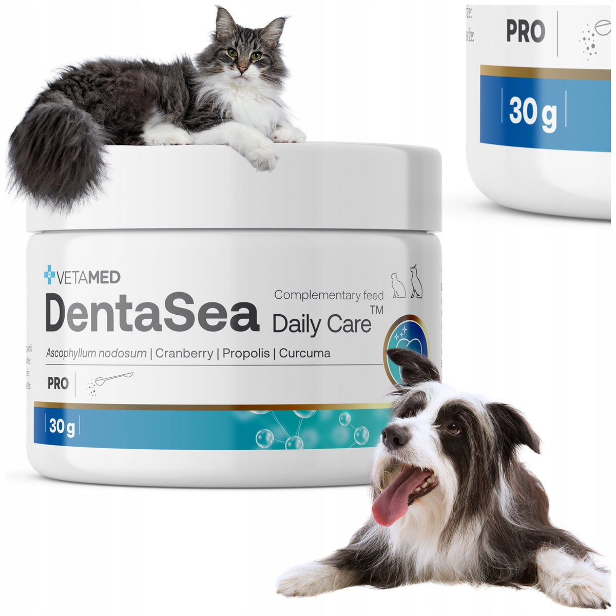 Tooth Powder for Dogs and Cats Preparation for Tartar DentaSea 30g