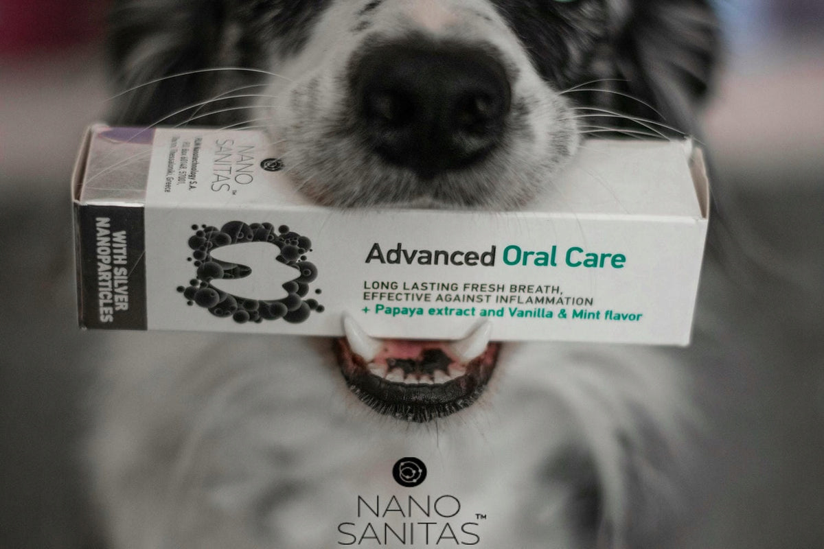 Toothbrush Cleaning Paste for Cat Dog WITHOUT BRUSHING Oral Care 35 ml Brand NANOSANITAS