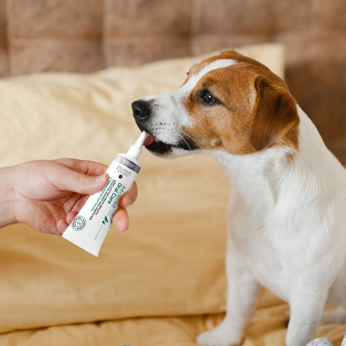 Toothbrush Cleaning Paste for Cat Dog WITHOUT BRUSHING Oral Care 35 ml Number of pieces in the set 1 pcs