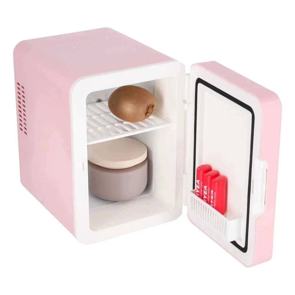 Tourist refrigerator electric car mini for food cosmetics 4L