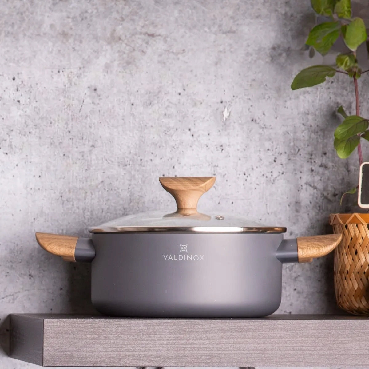 Traditional pot with lid 20 cm Valdinox Morgan 2,4L Manufacturer code 0204002637