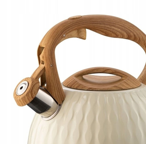 Traditional steel kettle with whistle 3l Yantar cream induction gas Packaging status original