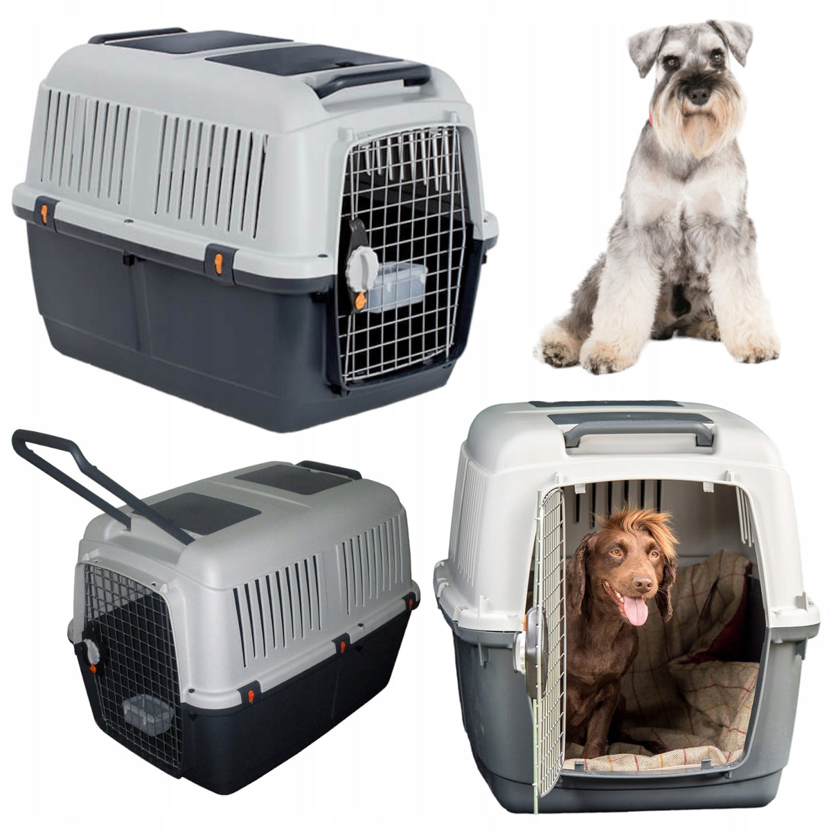 Transporter For Medium Dog Schnauzer Beagle BRACCO Size 4 70x50x51cm IATA Brand Bracco