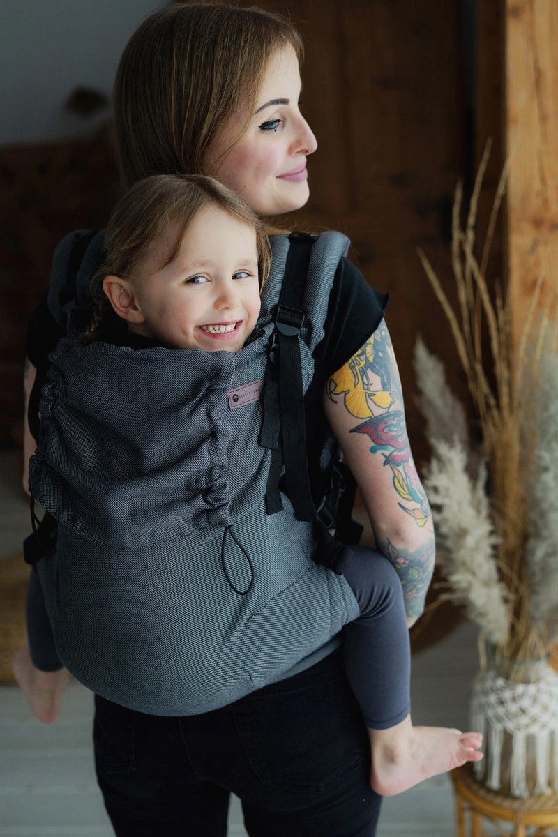 Travel carrier for seniors up to 6 years old - Little Frog Slate Moonstone Brand Little Frog
