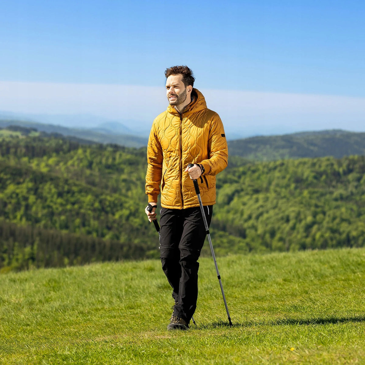 Trekking poles Nordend silver hiking poles aluminum Nordic walking Brand Hop-Sport