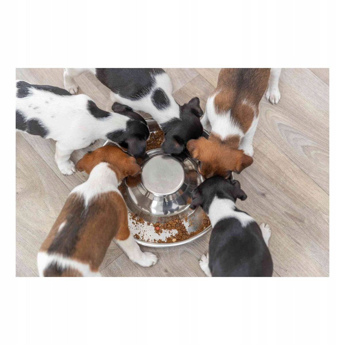Trixie Metal bowl for puppies Junior 1,4l/29cm Manufacturer code 4011905252810