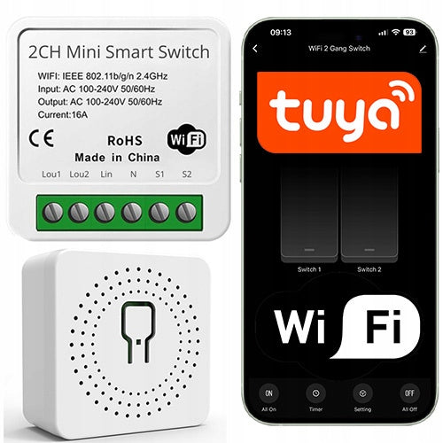Tuya Smart Life WiFi Driver 2-Channel 1600W Receipt Module