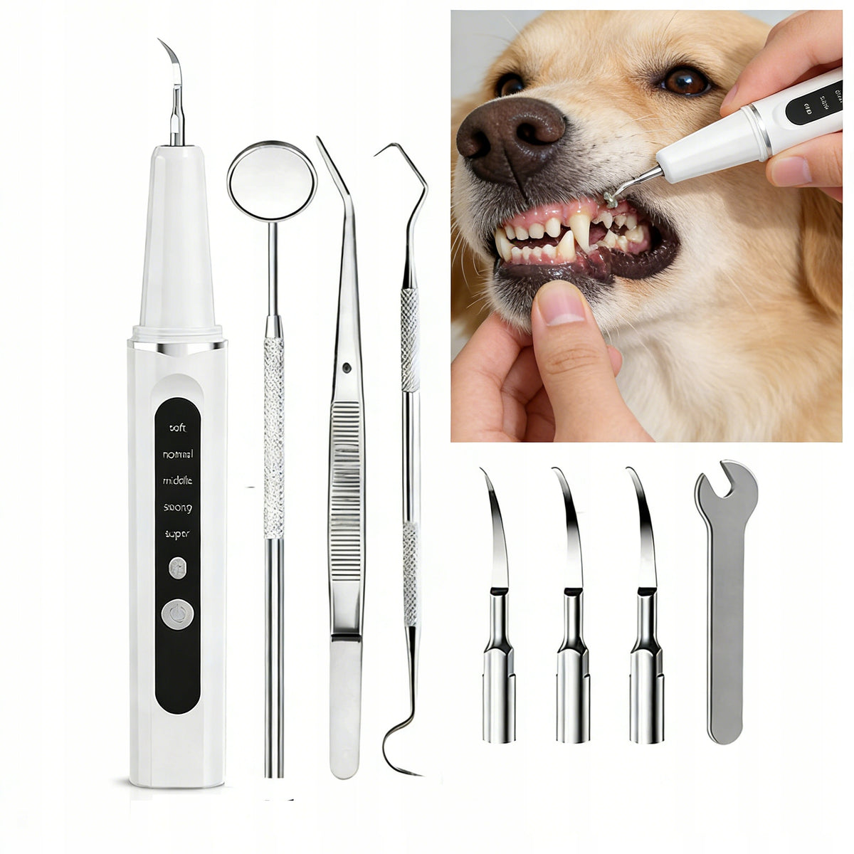 ULTRASONIC TOOTH SCALER DENTAL 5 MODES FOR SCALP REMOVAL