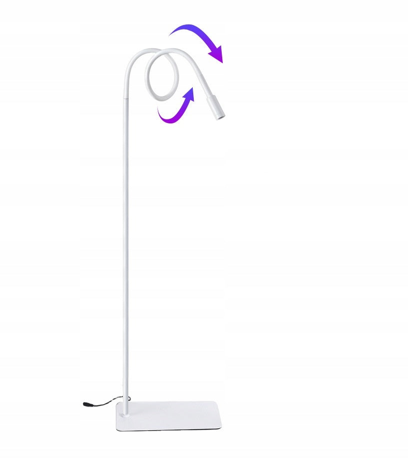 UV lamp for eyelash extensions ProjectLashes + glasses WHITE Packaging status original