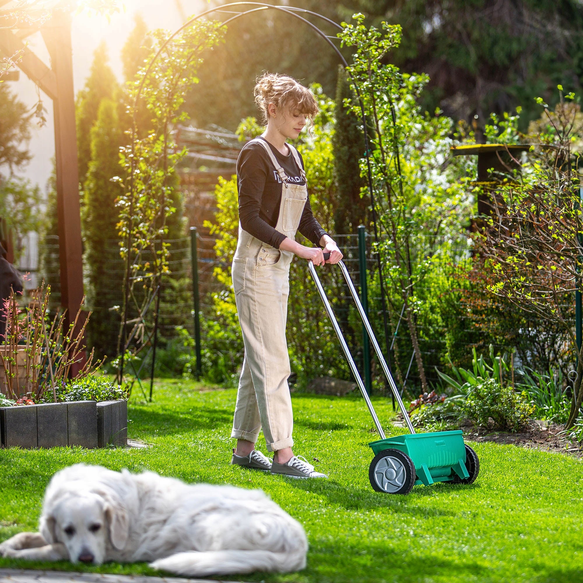 VEGETABLE GRASS SEED SPREADER MANUAL SALT SEED FERTILIZER SPREADER 12L Power supply handheld