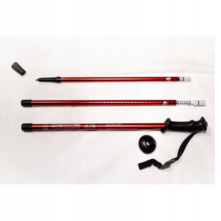 WALKING POLES NORDIC WALKING TREKKING 110 cm 1 pair 2pcs promotion Brand no brand