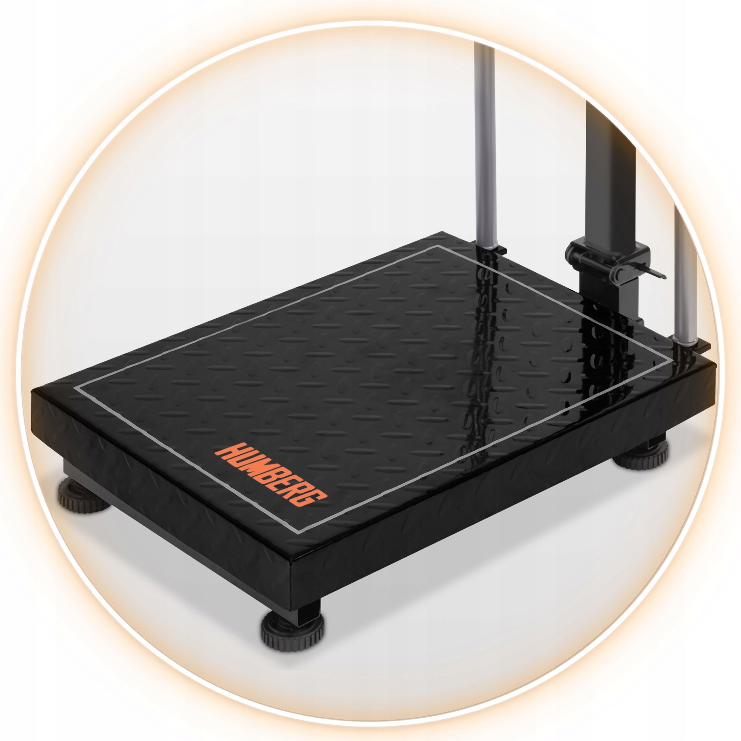 WAREHOUSE SCALE ELECTRONIC AGRICULTURAL SHOP GOODS PLATFORM 300 KG Scale type platform