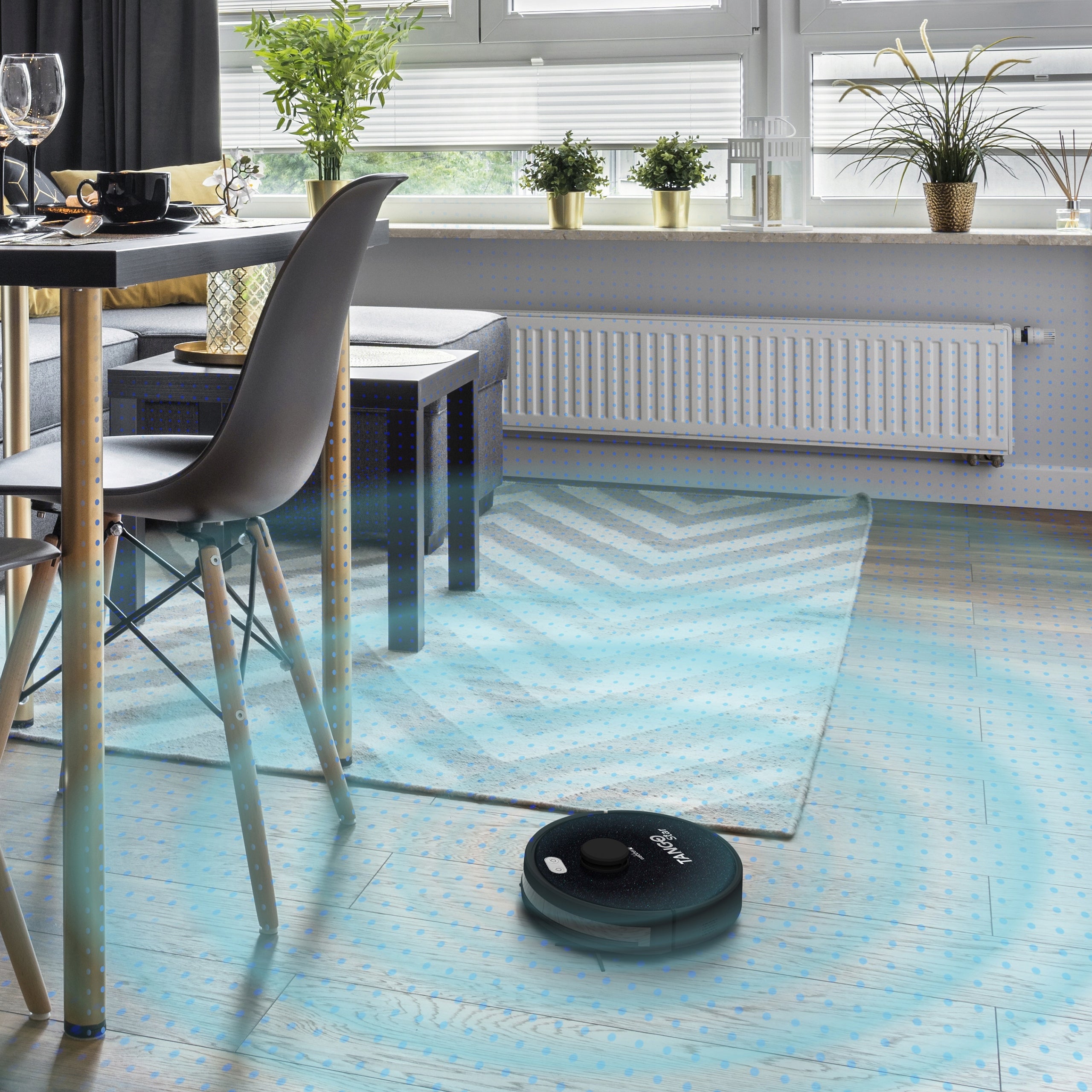 WEBBER TANGO Star mop robot vacuum cleaner Brand Webber
