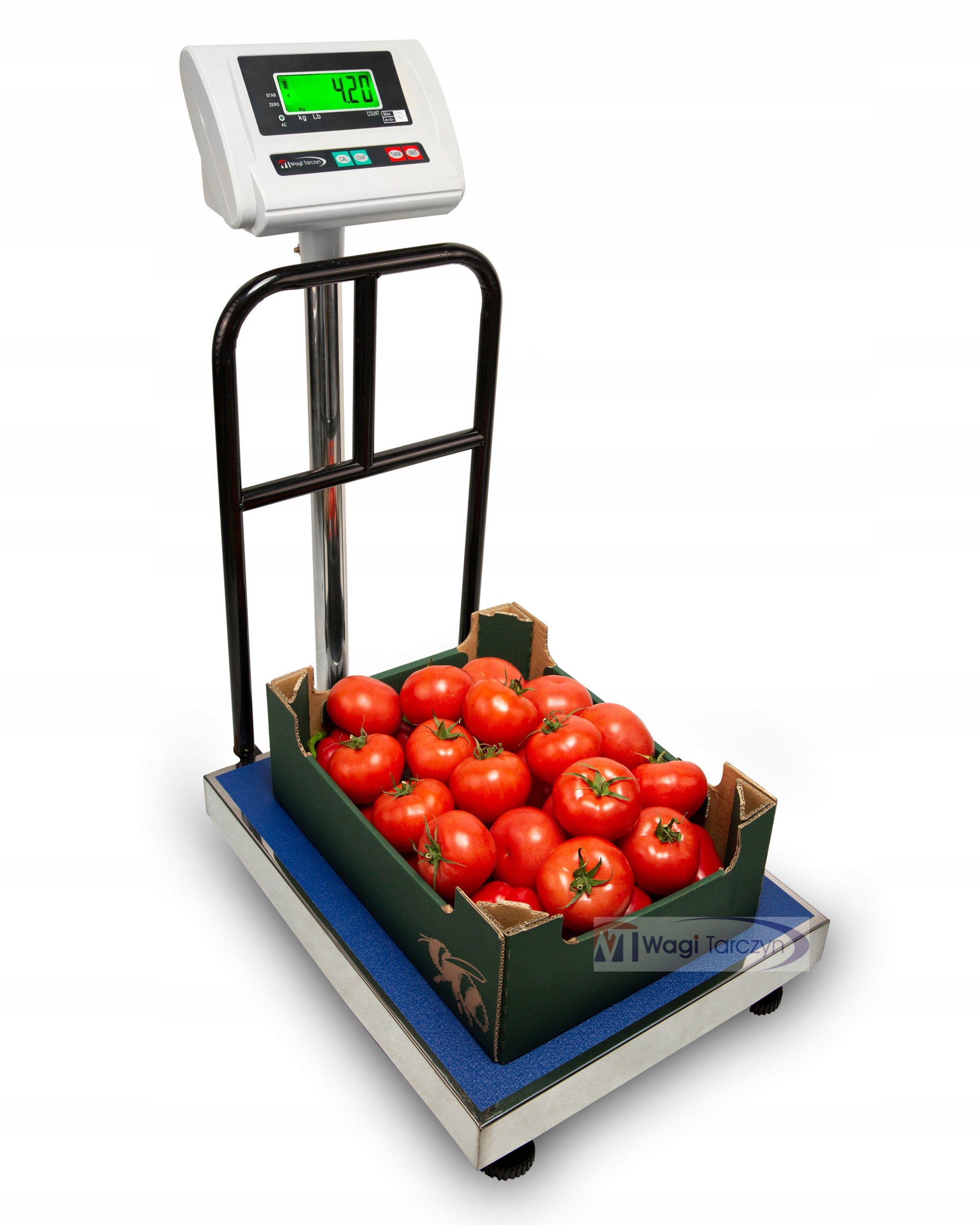 WEIGHT 300KG 20g ELECTRONIC WAREHOUSE SHOP CATERING PLATFORM Brand Wagi Tarczyn