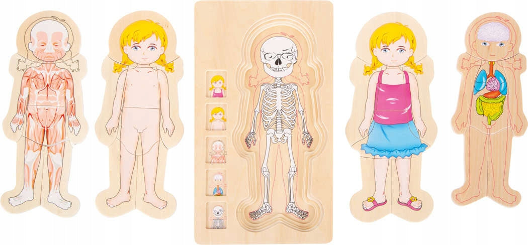 WOODEN PUZZLE ANATOMY GIRL PUZZLE Manufacturer code 5814