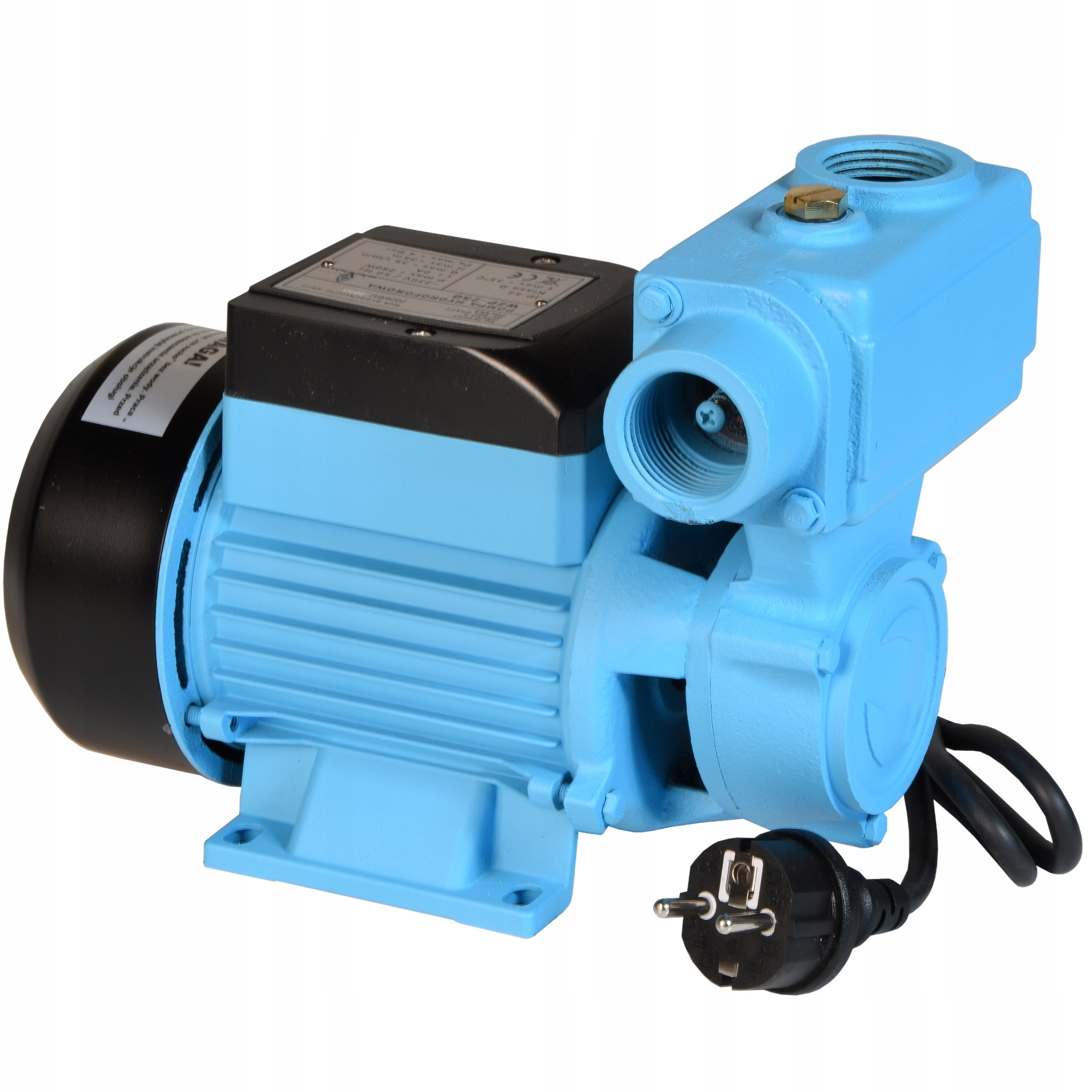 WZP 250 WATER PUMP WATERING WELL HYDROPHORE GARDEN +RETURN VALVE Maximum pump output 2100 l/h
