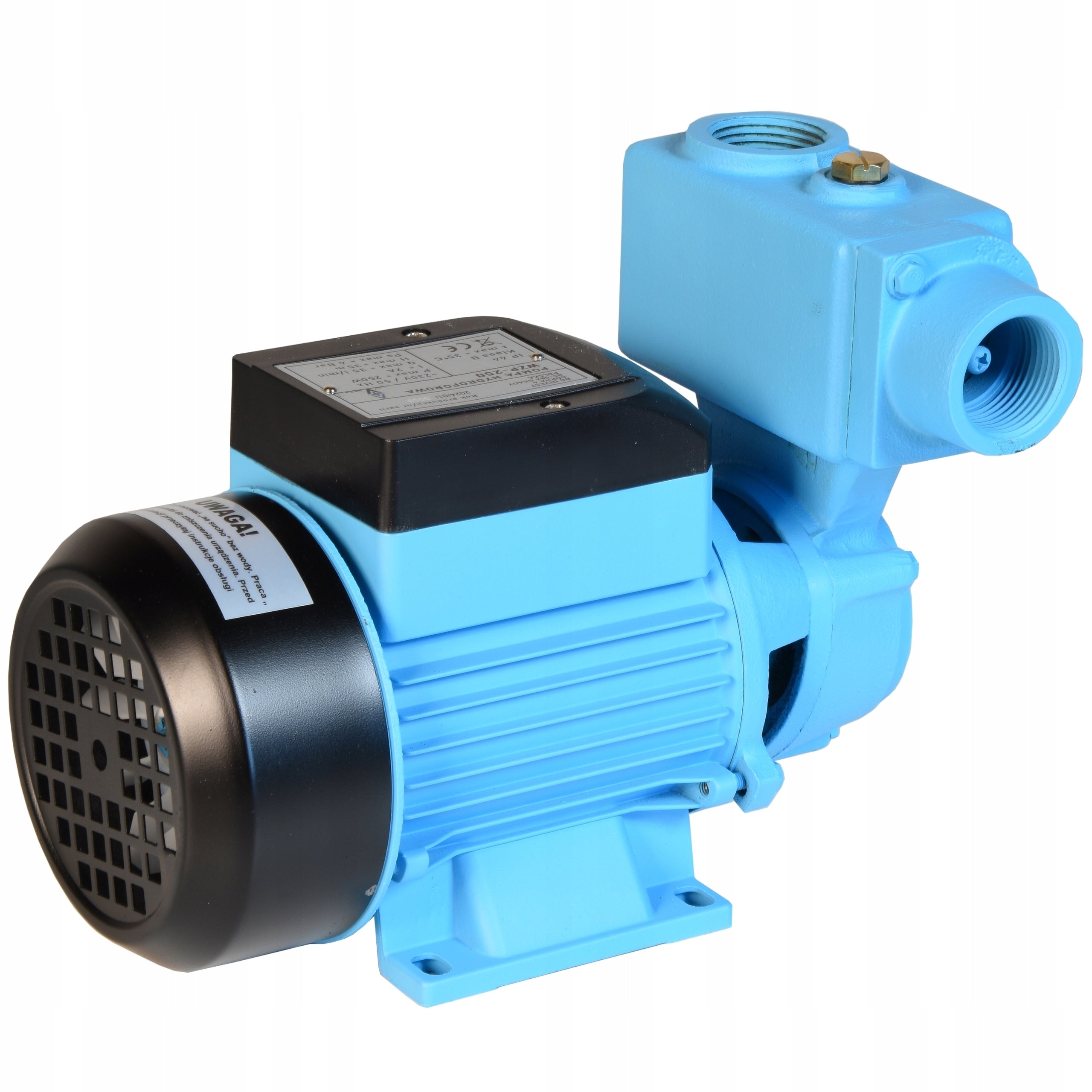 WZP 250 WATER PUMP WATERING WELL HYDROPHORE GARDEN +RETURN VALVE Pump type surface