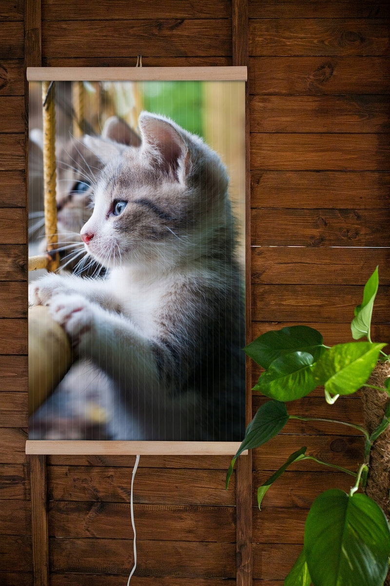 Wall-mounted infrared heater TRIO pattern: KITTENS with POWER REGULATOR Packaging status original