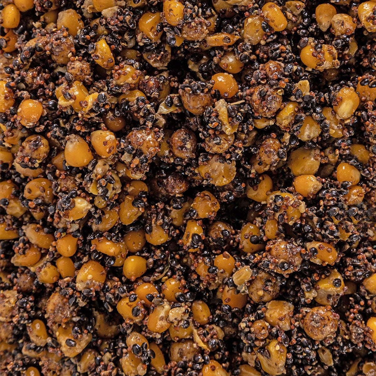 Walnut Tigers Hemp Rapeseed Corn MIX Grains Fishing Bait 5 kg Manufacturer code 0031