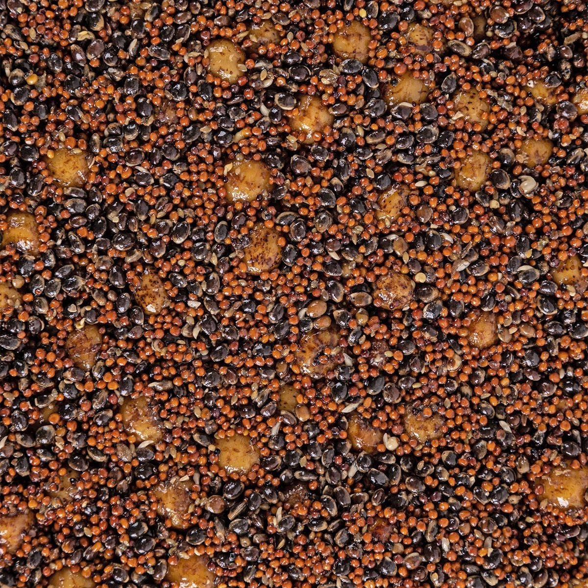 Walnut Tigers Hemp Rapeseed Ready Bait 1 kg MIX Grains Carp Target Brand Carp Target
