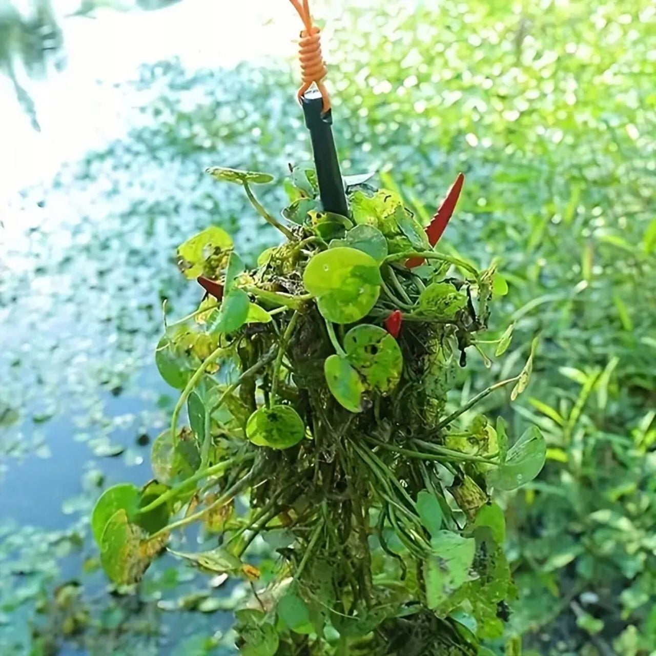 Weed Pulling Tool Algae Water Plants Stainless Steel Rope Head material stainless steel