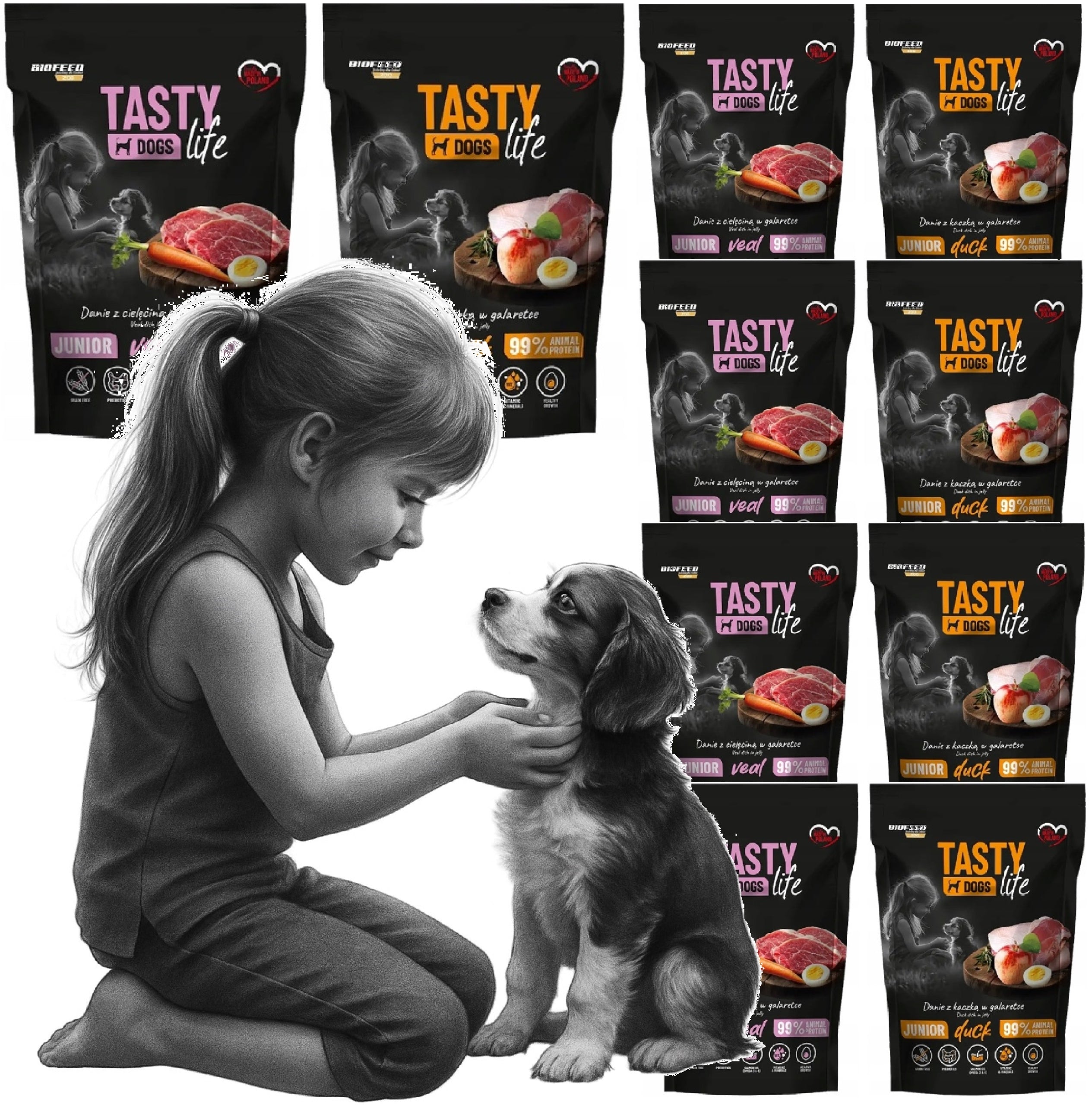 Wet dog food Tasty Dogs Life in jelly MIX OF FLAVORS 10x 500g JUNIOR