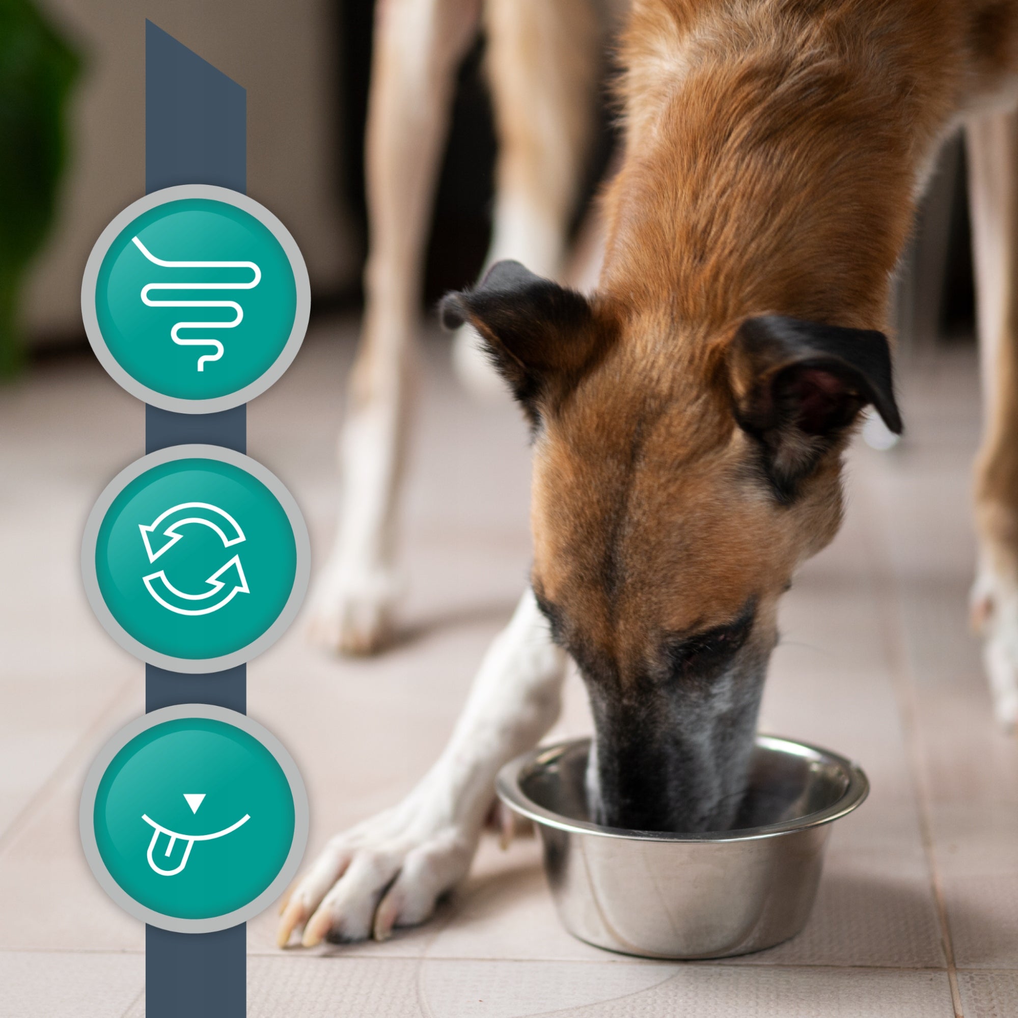 Wet food for dogs digestive problems Vet Expert Intestinal 6x400g Manufacturer code 5901891240719