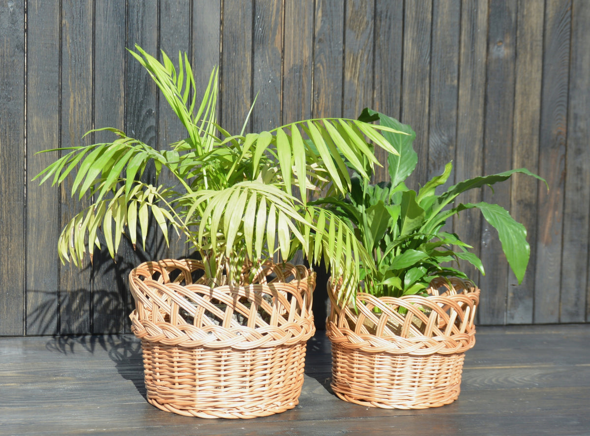 Wicker POT CHRISTMAS TREE COVER BASKET BOHO ECO-FRIENDLY 22 cm Manufacturer code 590416