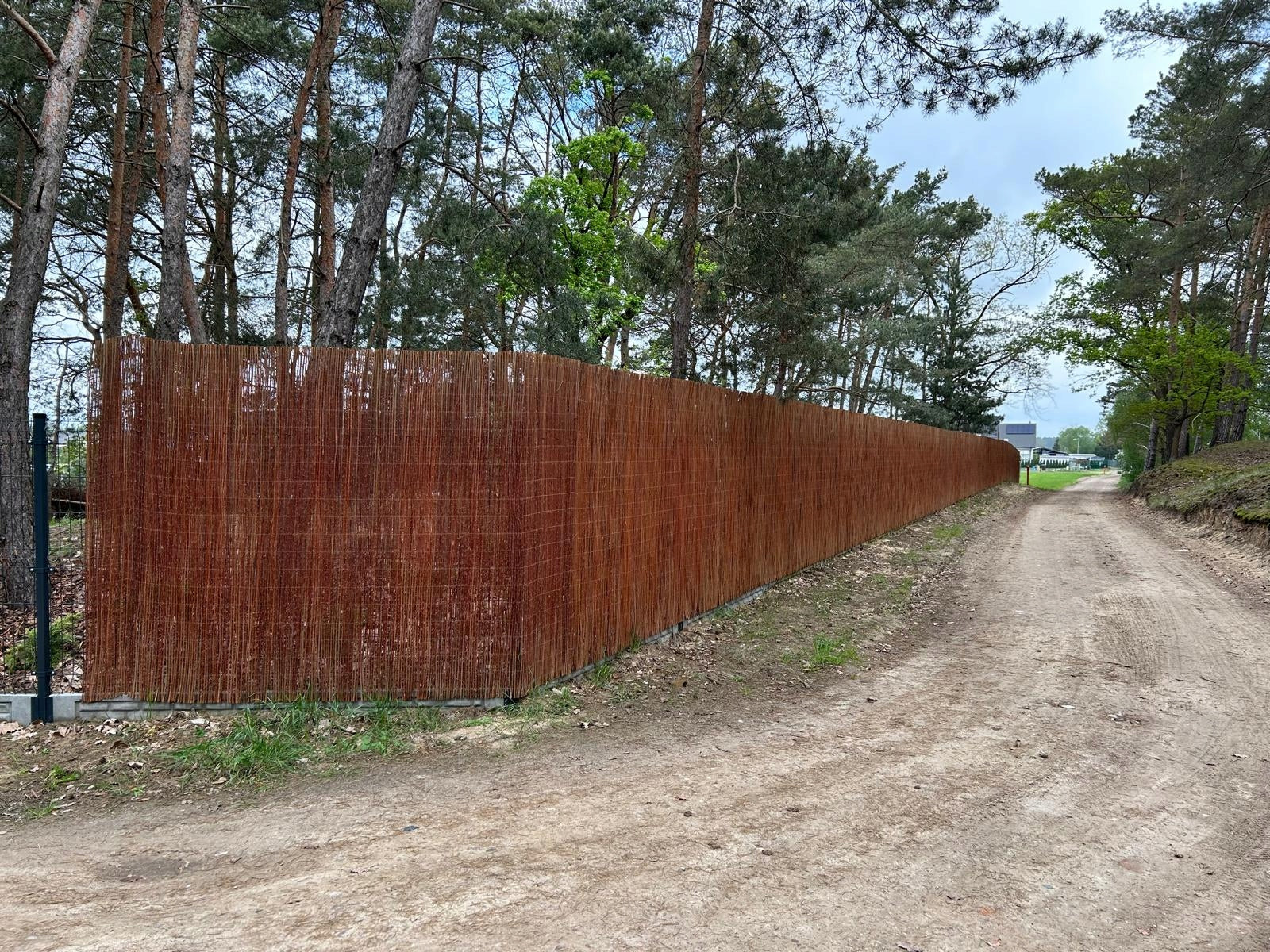 Wicker mat 120x300cm wicker mats POLISH MANUFACTURER Manufacturer code 1230