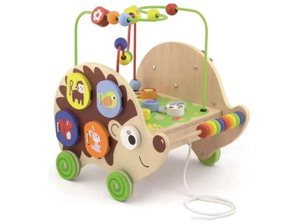 Wooden Educational Hedgehog 4in1 VIGA Brand Viga
