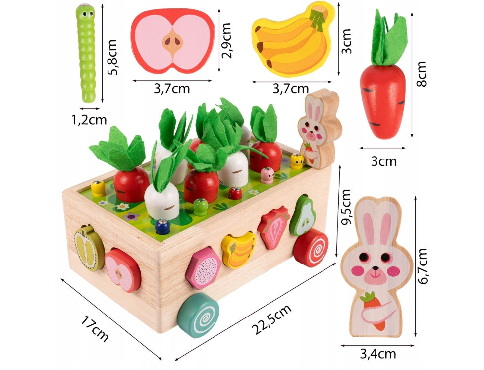 Wooden Montessori Sorter Carrots Worms Fruit Toy Brand no brand