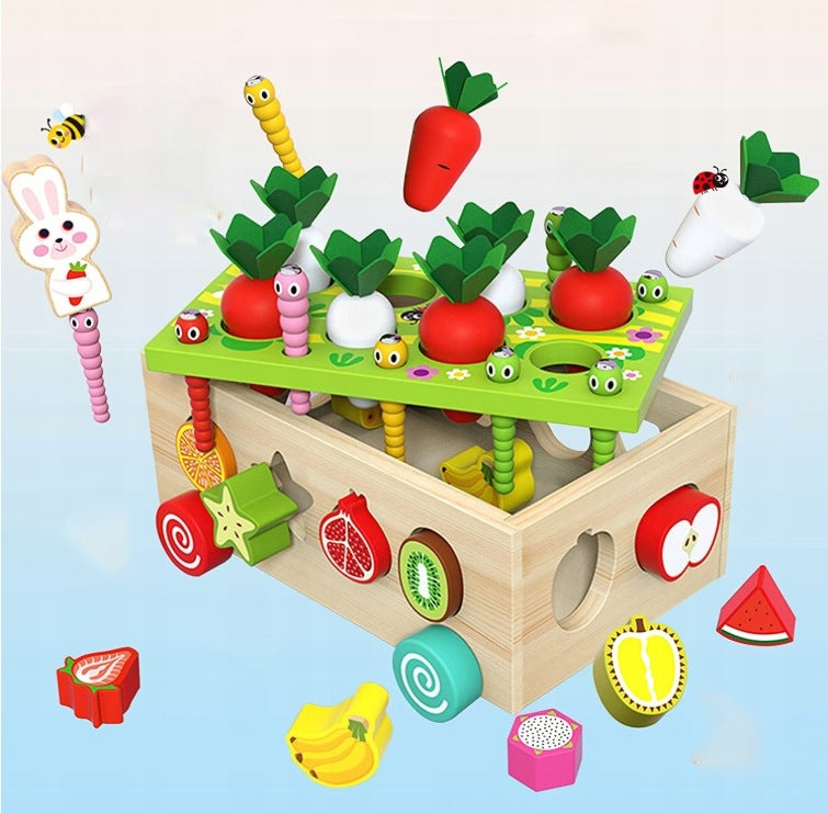 Wooden Montessori Sorter Carrots Worms Fruit Toy Kid's age 3+ years