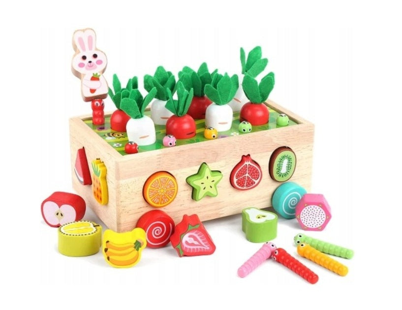 Wooden Montessori Sorter Carrots Worms Fruit Toy