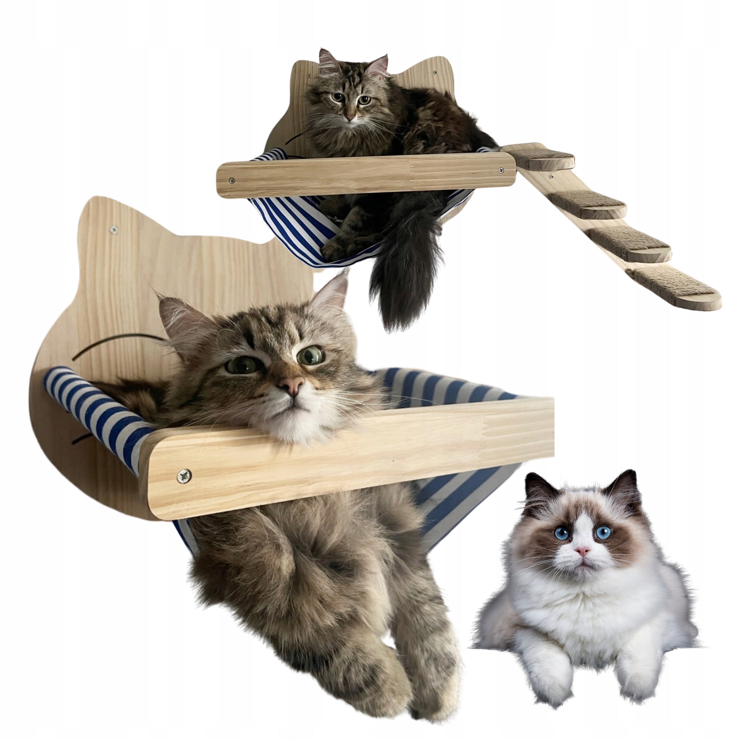 Wooden shelf with ladder on the wall bed for cat 64 Brand no brand