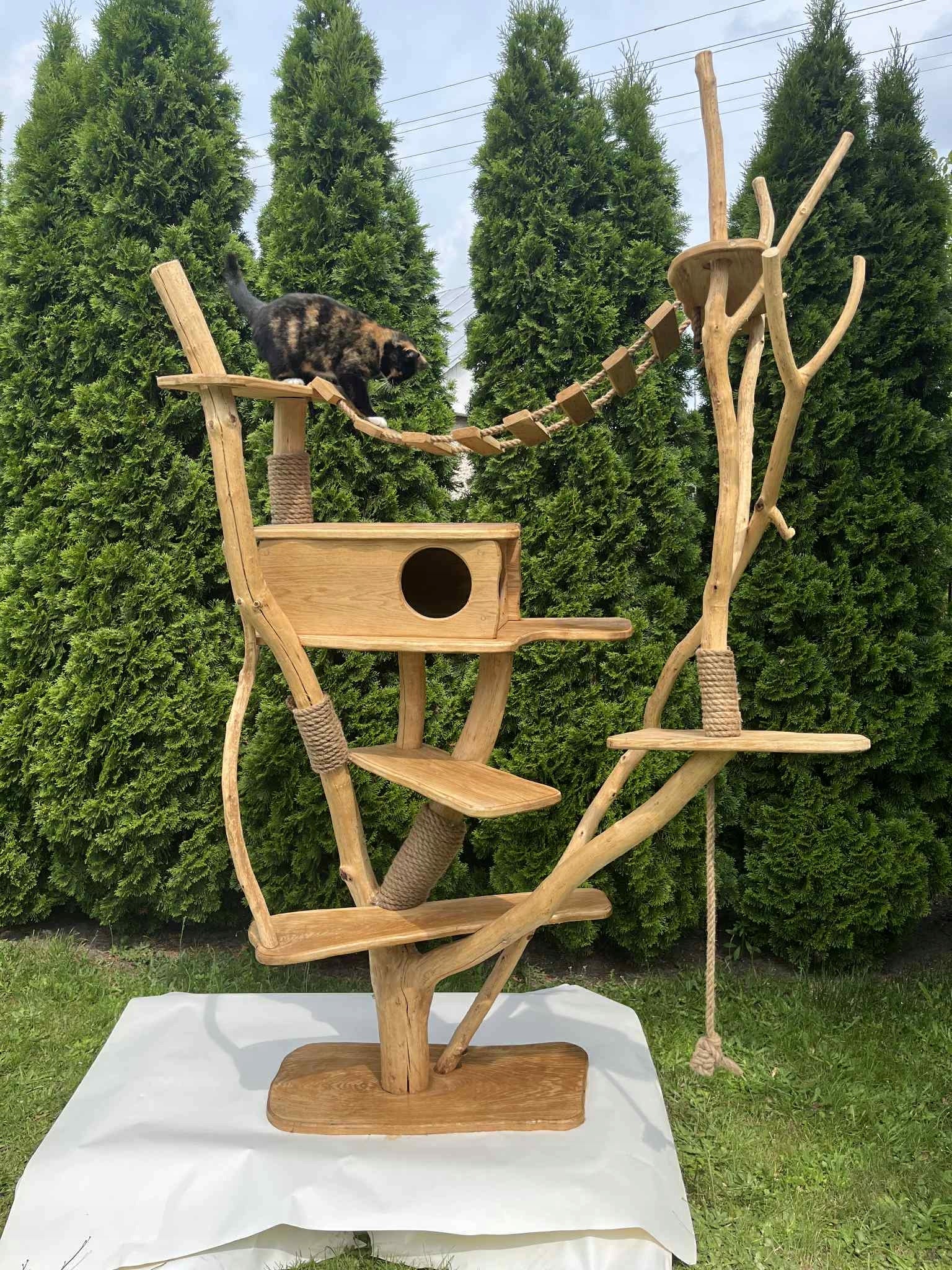 XXL oak wood cat scratcher 230 cm handmade solid nature Brand no brand
