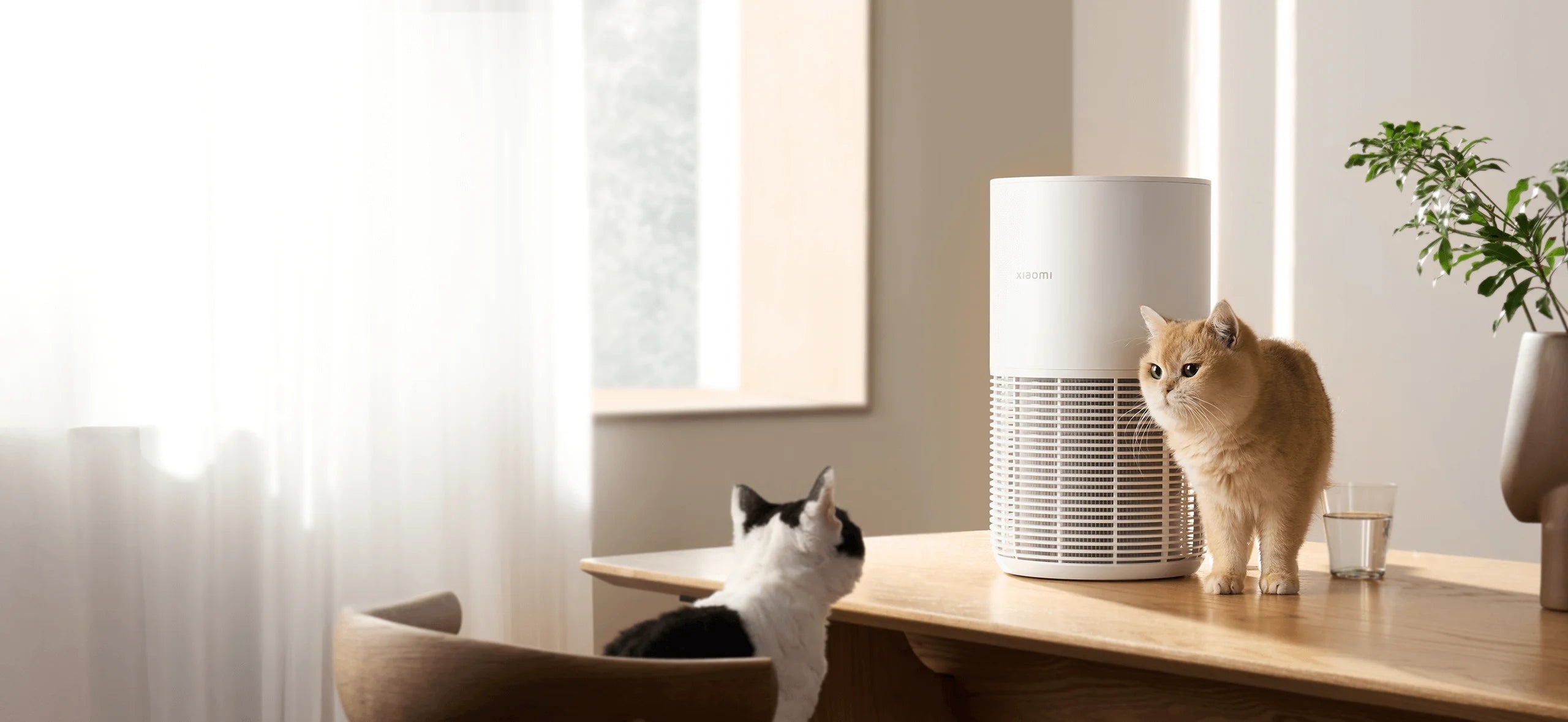 Xiaomi Smart Pet Care Air Purifier Manufacturer code Smart Pet Care Air Purifier