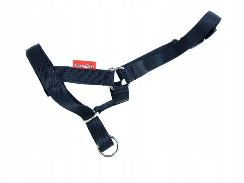 cantar bridle halter for dog Champion 3 M