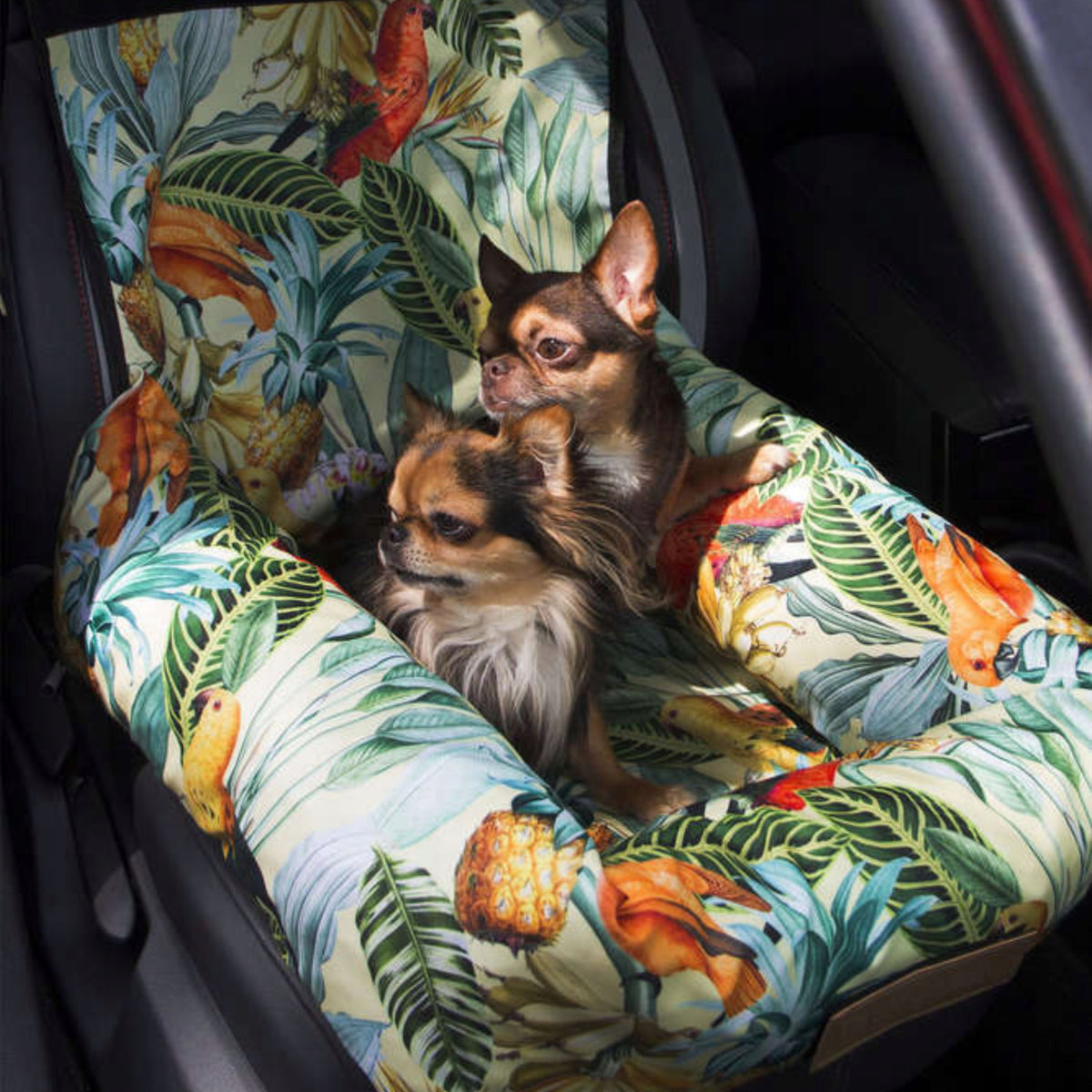 dog carrier car seat bed waterproof premium engraving Packaging status original