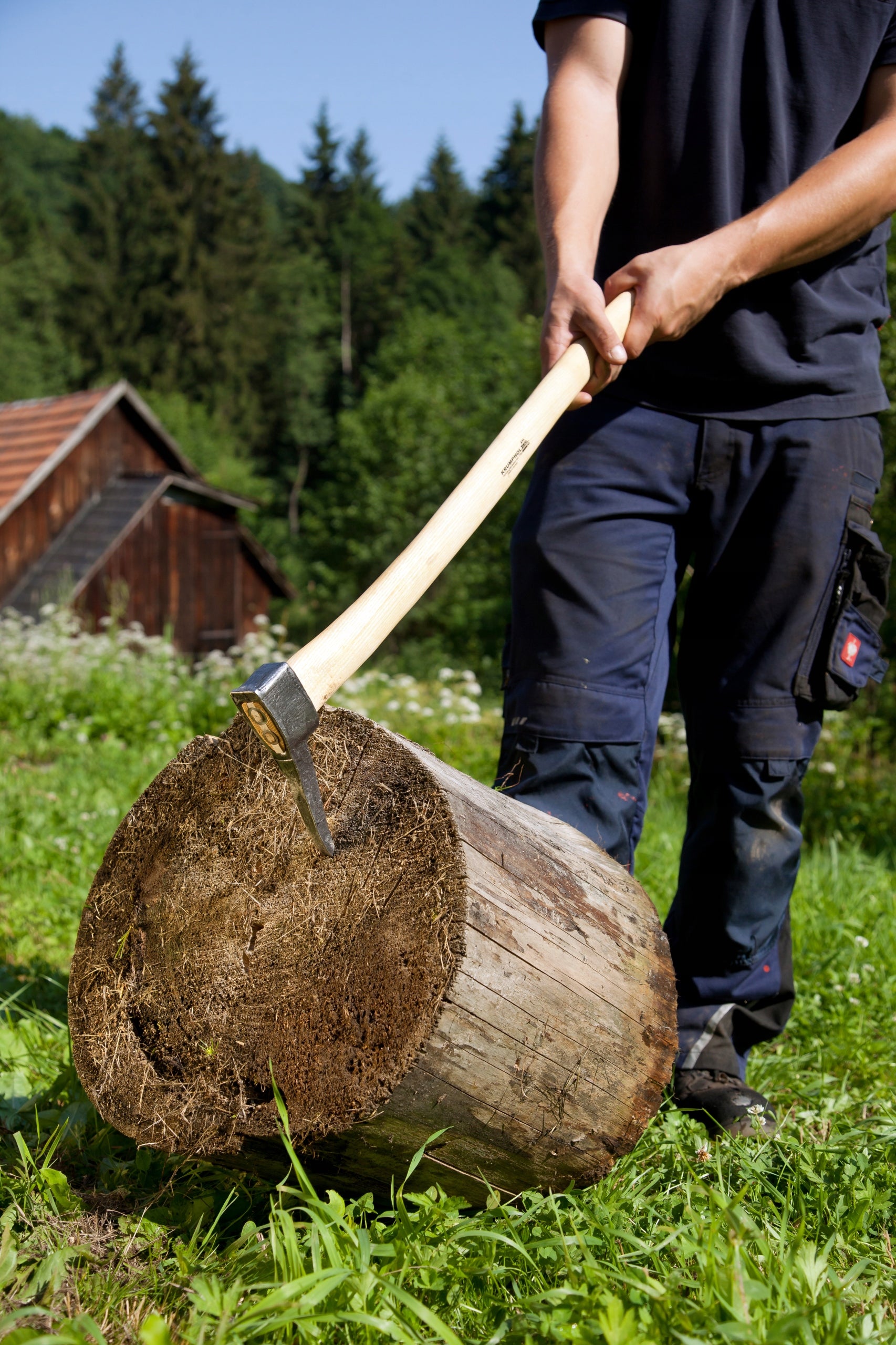 Vienarankis kaplys KRUMPHOLZ, 1,2 kg, uosio kotu