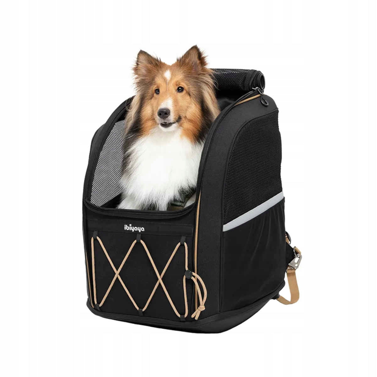ibiyaya backpack Champion jet black