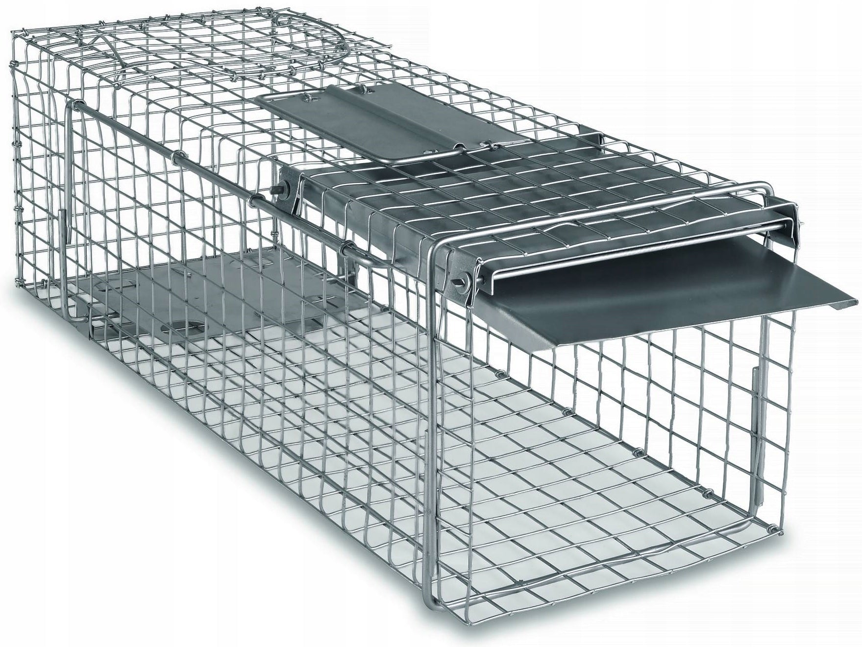 livetrap trap marten grace mink rats paw Brand Zielona Łapka