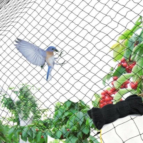 very STRONG STARLINGS NET 7,5m x 5m for BIRDS for aviary for trees with UV Manufacturer code BRA_AS-BN201515050075