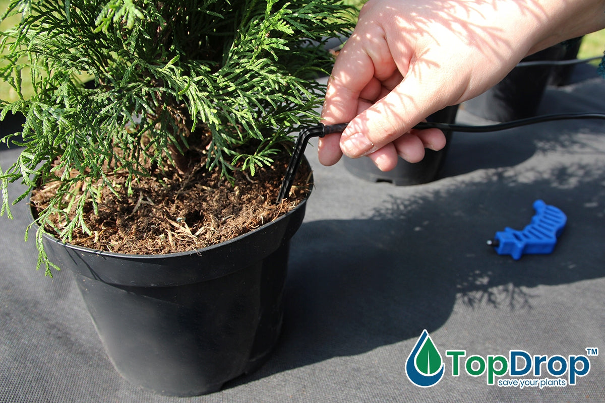 100x Stick Drip 50cm Drip Irrigation Pot Tunnels Emitter Brand Rolmarket