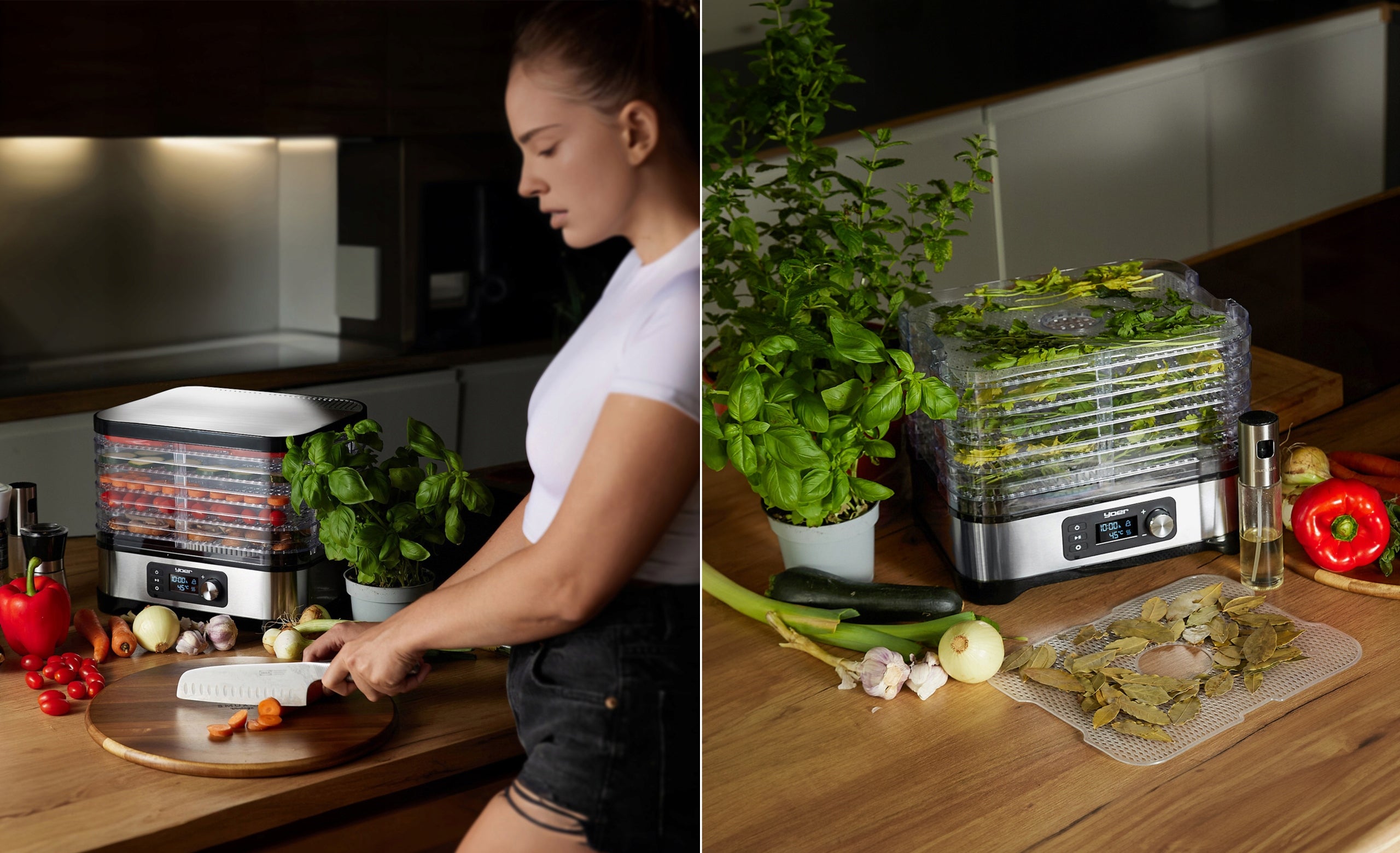 10in1 LARGE Fruit Mushroom Dryer Yoer 450W INOX Timer +6 SIT+9 ADDITIVES Manufacturer code FD01S
