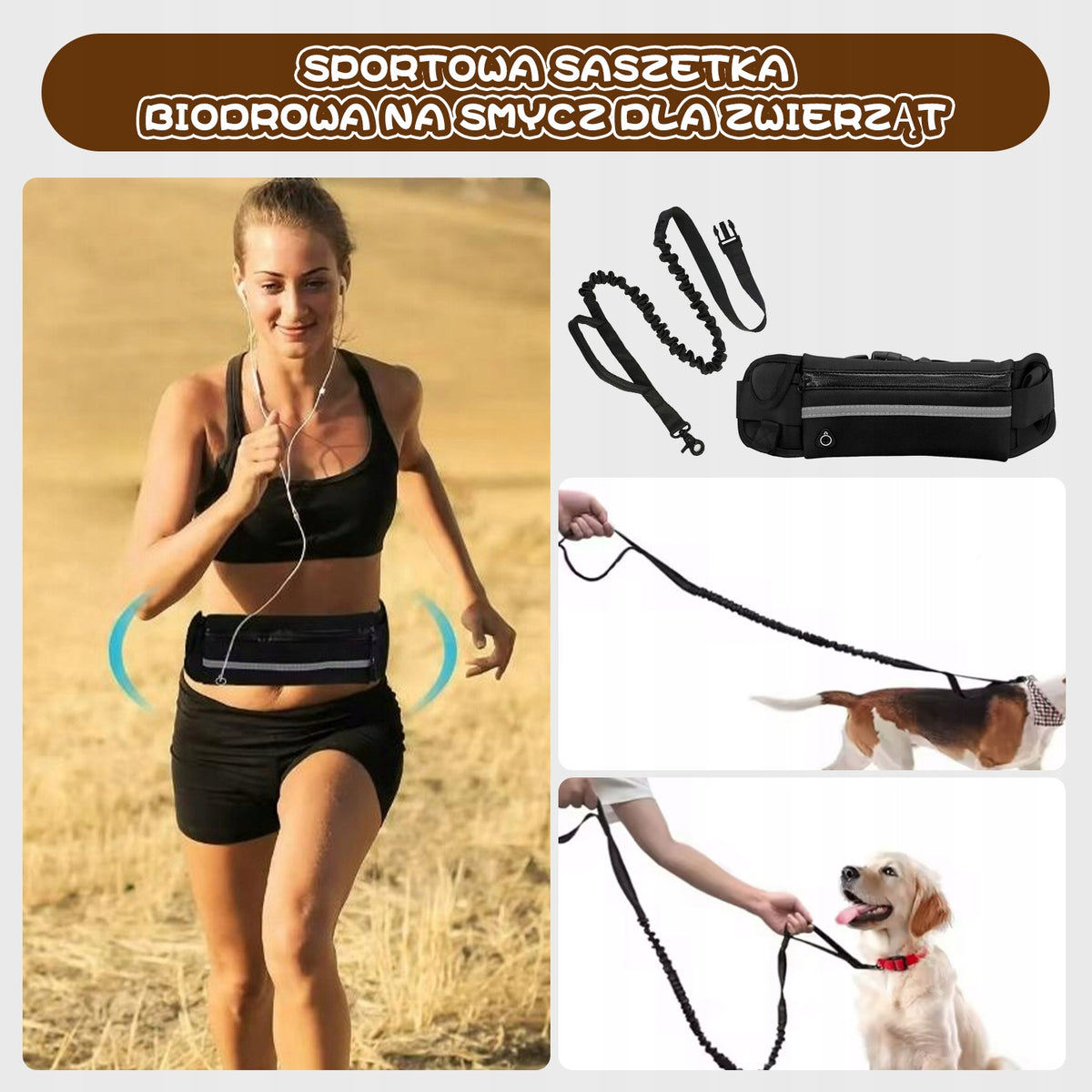 2.2m Elastic Dog Running Leash with Shock Absorbing Black. Packaging status original
