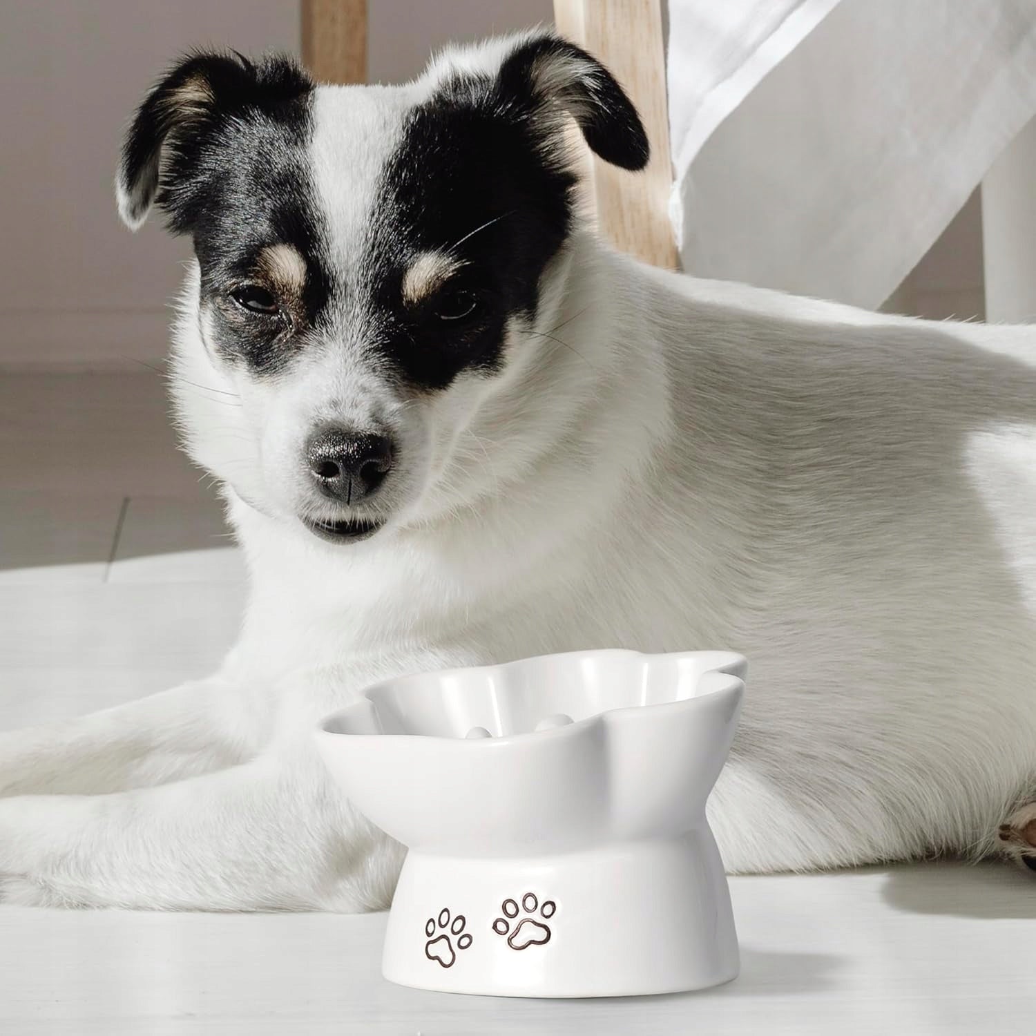2 in 1 Bowl Inclined and Slowing Food for Cat Dog Ceramic Packaging status original